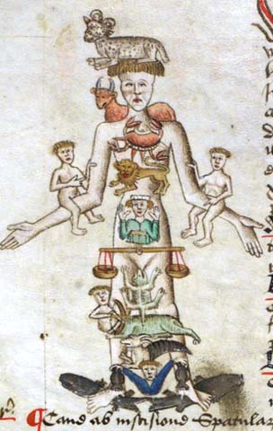 Medical_Zodiac-Man_detail.jpeg