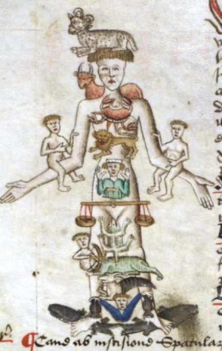 Historischer Zodiac Man mit Zuordnung der Tierkreiszeichen zu den Körperregionen